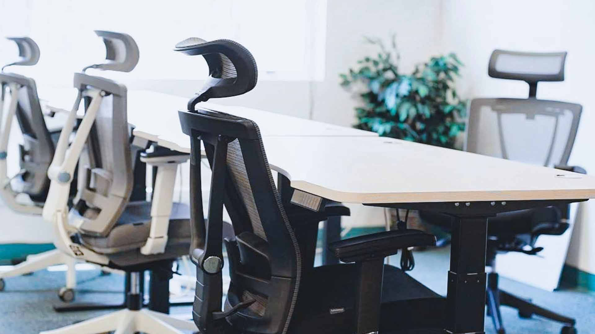 Compare the best Ergonomic Office Chairs- Autonomous Ergochair 2 vs Wayfair Mesh Desk