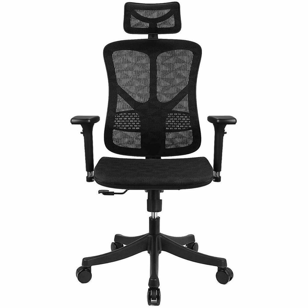 Top 5 Best Office Chairs for Lower Back Pain - Explain by Experts