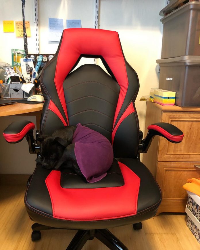 Top 6 Best PC Comfortable Gaming Chairs Under $200