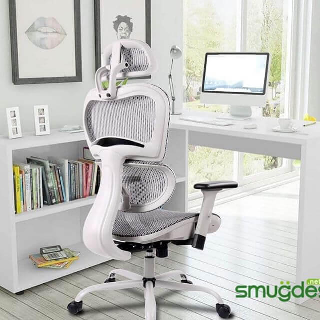 Smugdesk Ergonomic Office Chairs Review A Solid China Made Standingdesktopper Com