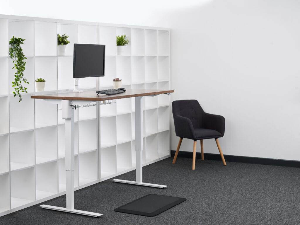 Friska standing desk review