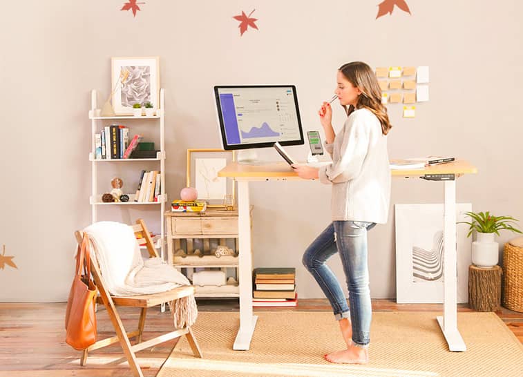 Flexispot standing desk