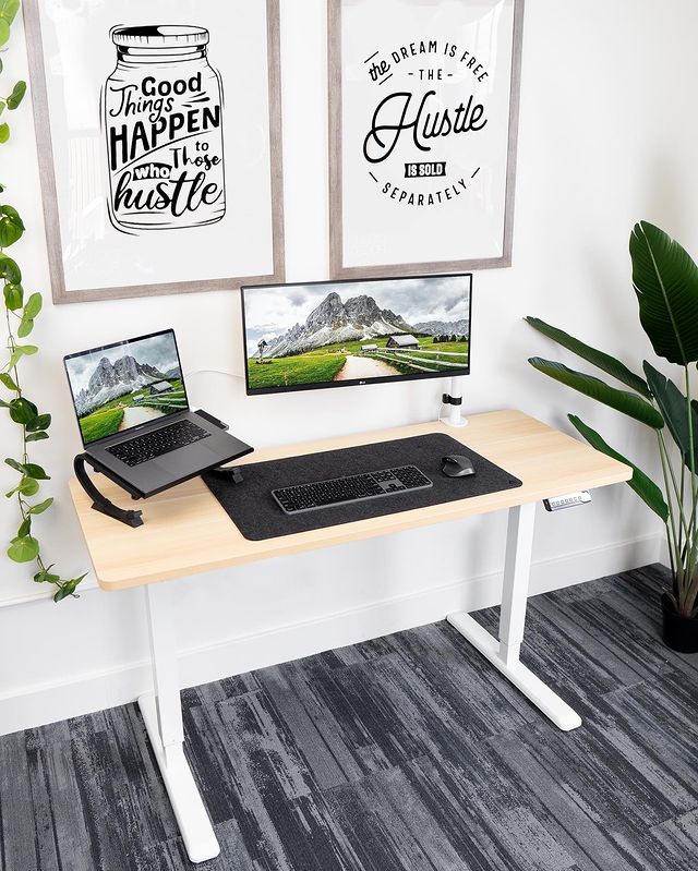 VIVO desk