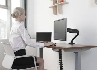 loctek standing desk review by Standingdesktopper