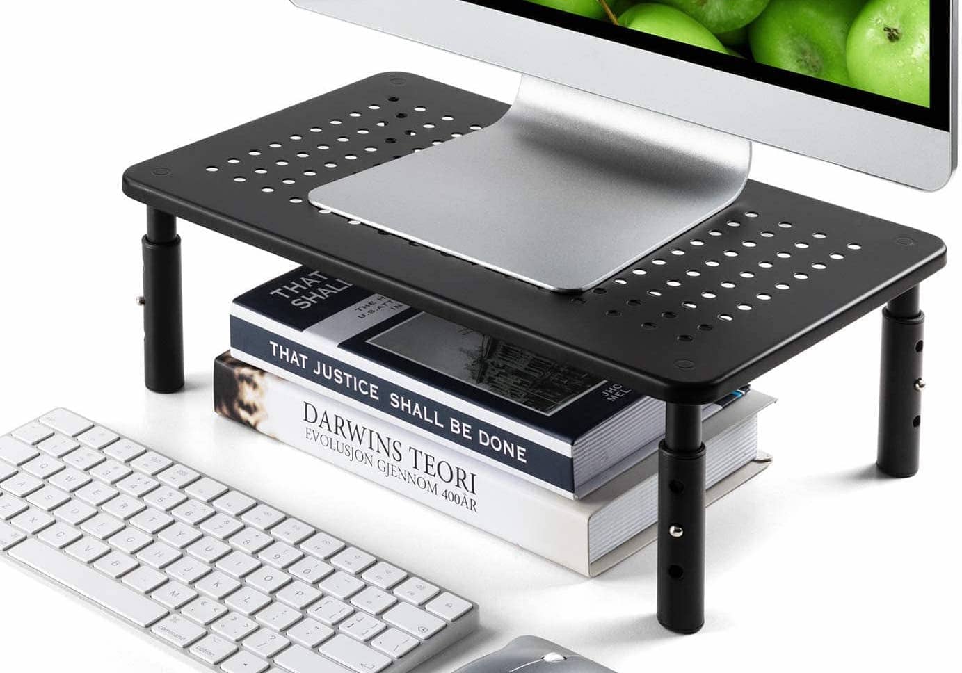 Loryergo monitor stand review