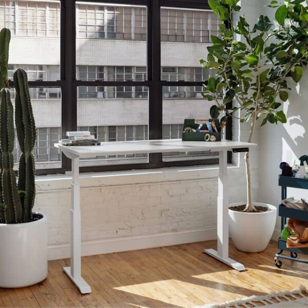 Branch Furniture Standing Desk Review Can a Premium Looking Desk be