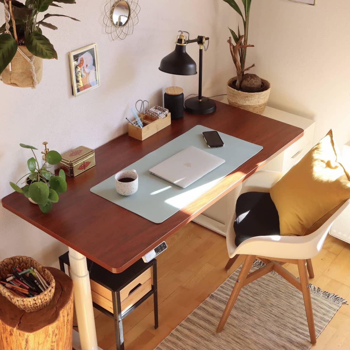 Flexispot desk