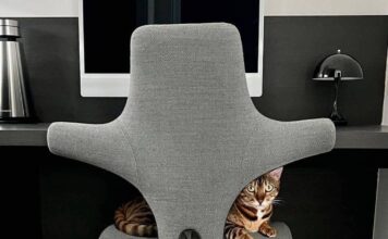 Håg Capisco chair