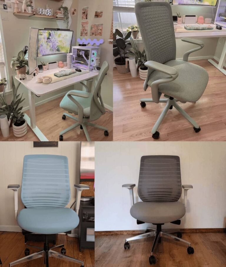 Branch Verve vs Branch Ergonomic chair can a task chair be better?