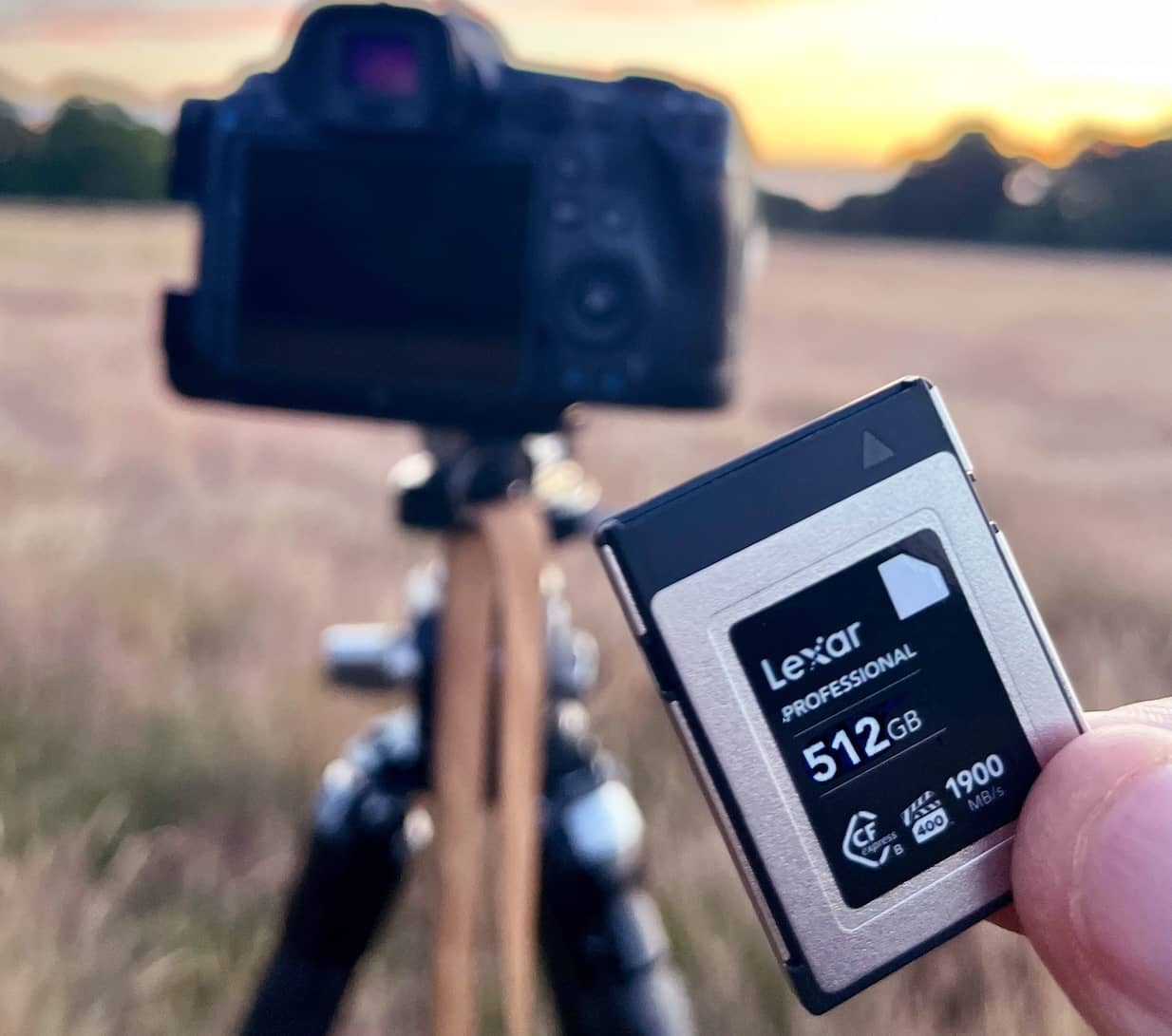 Memory Cards for YOUR Camera review